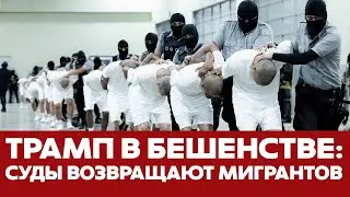 🔴 СРОЧНО Трамп в бешенстве: суды возвращают депортированных обратно в США #новости #трамп #мигранты