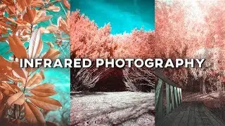 Infrared Photography with an IR Lens Filter