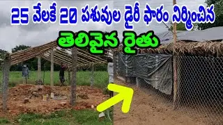 అతి తక్కువ ఖర్చుతో 20 పశువుల షెడ్ నిర్మాణం  Very low cost dairy farm construction