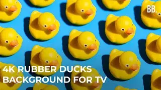 4K Animated Ducks Screensaver | Rubber Ducks Screensaver for 4K TV, PC, SAMSUNG TV, LG TV