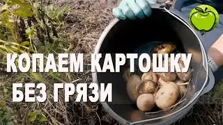 Картошка под мульчей для ленивых и чистюль, ЧТОБЫ НЕ КОПАТЬ!