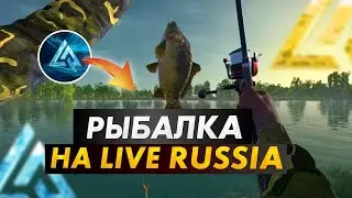 ВСЁ ПРО РЫБАЛКУ НА LIVE RUSSIA | ЗАРАБОТОК | СОВЕТЫ | ГАЙД КАК НАЧАТЬ | CRMP MOBILE [Андроид]