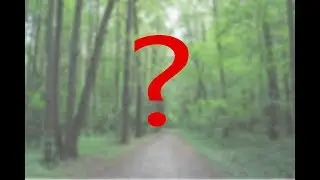 ЛЕС 4 | КОНЕЦ?