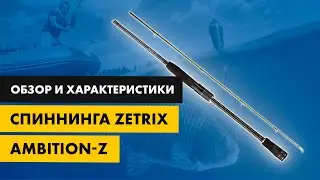 Обзор спиннинга Zetrix Ambition Z