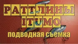 🐟 Для ловли хищника со льда ITUMO Clacker & ITUMO Gamauji