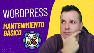 Cómo hacer el MANTENIMIENTO en WORDPRESS Básico