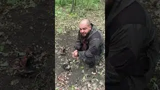 Вот как выглядит чупакабра