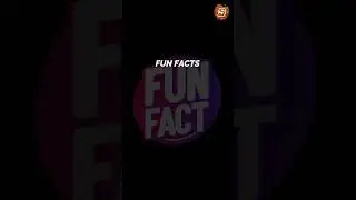 Fun Facts