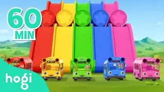 Five Little Color Buses (NEW) + More｜Best Colors Songs of the Month｜Songs for Kids｜Hogi & Pinkfong