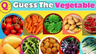 Vegetable Quiz | Can You Guess the Name of the Vegetables?🥕🥬