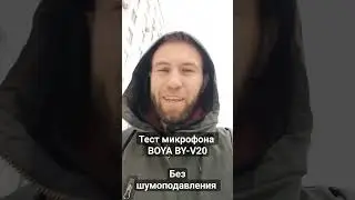 Тест микрофона BOYA BY-Y20. Шумная улица и дождь с ветром