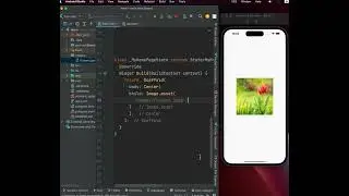 add image asset in flutter