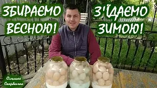 КОНСЕРВАЦІЯ КУРЯЧИХ ЯЄЦЬ НА ЗИМУ! ЛЕГКО та ПРОСТО!