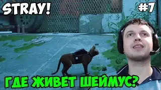 Папич играет в Stray! Где живет Шеймус? 7