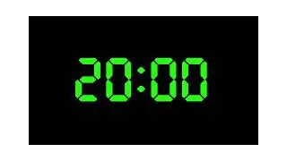 20 minute timer
