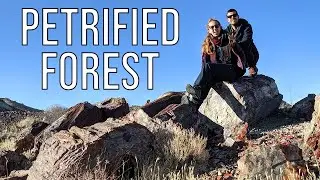 Petrified Forest National Park - Van Life Road Trip | Ep. 111