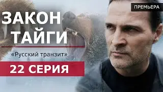 Закон тайги 22 серия. «Русский транзит» (2024 Пятый канал) | Премьера | Пересказ серии