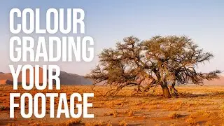 Color Grading your footage and Creating your own LUTs (FCPX and Photoshop)