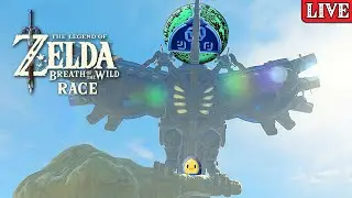 Chat Makes Us Do A LOT Race vs @dannydinosaur  Zelda Breath of The Wild | Skyward Sword BOSS RUSH