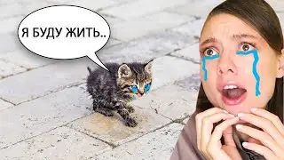 ПОПРОБУЙ НЕ ЗАПЛАЧЬ... ОТ СМЕХА 😲 НЕРЕАЛЬНО СМЕШНЫЕ КОТЫ и СОБАКИ из ТИК ТОКА