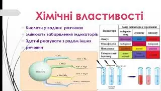 хімія 8 кл Властивості кислот