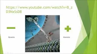 Biochemistry and Cell Biology: Cytoskeleton
