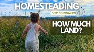 How much land should I buy for my homestead? #homesteading