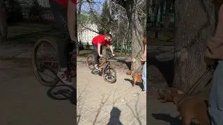 А какой тип ты? Собака 🐶