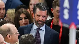 Get out of here: Donald Trump Jr clashes with MSNBC reporter at RNC