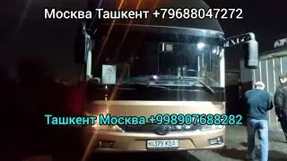 Москва Самарканд автобус Россия Узбекистан Автобус 