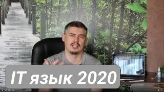 Какой язык программирования изучать в 2020 году?