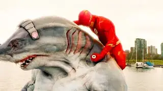 FLASH will have to capture the KING SHARK to defeat the terrible mind controlling GORILLA - RECAP