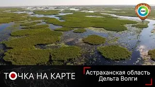 Дельта Волги – самая большая в Европе. Круиз по природному мегаполису