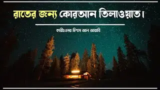 রাতে ঘুমানোর আগে কোরআন তিলাওয়াত | Night Time Quran Tilawat    Recitation by Omar Hisham