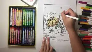 Color a turtle with a patterned shell swimming with the fish