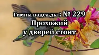 Гимны Надежды № 229 "Прохожий и дверей стоит" | Караоке с голосом | Христианские песни | Песни АСД