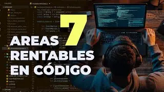 7 áreas muy bien pagadas para programadores