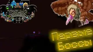 Первые боссы|Terraria1.3. Exspert mod [Прохождения c модом Tremor] 2#