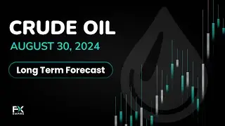 Crude Oil Continues to Consolidate:  Long Term Forecast by Chris Lewis (August 30)