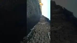 Саранча в ЗКО