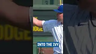 Ian Happ goes into the ivy to make the catch!