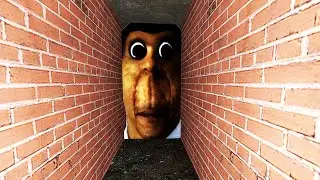 ОБУНГА ГОНЯЕТСЯ ЗА НАМИ В ТЕМНОМ ЛАБИРИНТЕ OBUNGA NEXTBOT Garrys Mod