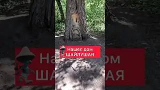 НАШЕЛ ШАЙЛУШАЯ В ЛЕСУ 2 СЕРИЯ | ШАЙЛУШАЙ #шайлушай   #shorts