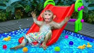 KiKi Monkey has fun at the Water Park and play with Waterslides | KUDO ANIMAL KIKI