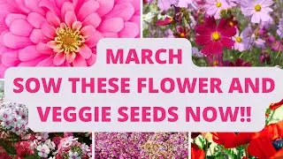 March: Sow These Flower and Veggie Seeds Now!