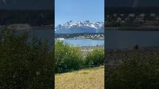 Spectacular Beauty of Haines, Alaska: Salmon Run, Bald Eagles & More!