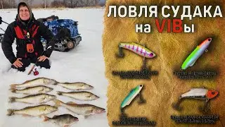 Активный клев судака на вибы. Вибы на судака.