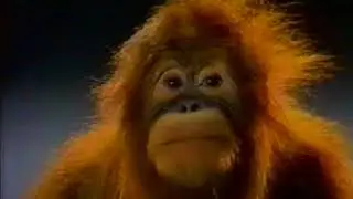 Телевизионная реклама 1990-х годов - "Орт Кард", 1993 год