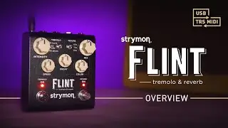 Strymon Flint V.2 – Tremolo & Reverb – Intro