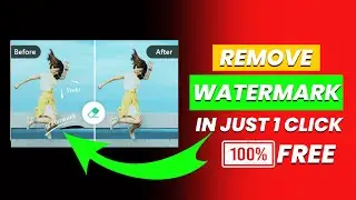 How to Remove Watermark from Video for FREE